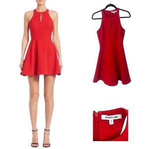 Elizabeth and James Flare Mini Dress